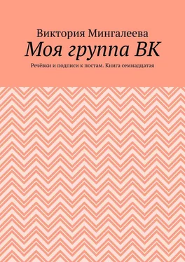 Виктория Мингалеева Моя группа ВК. Речёвки и подписи к постам. Книга семнадцатая обложка книги