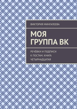 Виктория Мингалеева Моя группа ВК. Речёвки и подписи к постам. Книга четырнадцатая обложка книги