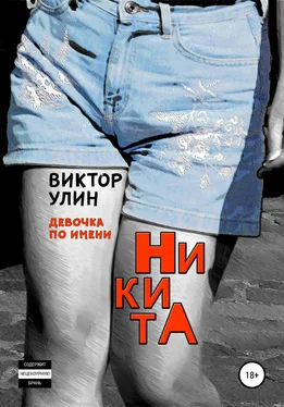 Виктор Улин НикитА обложка книги
