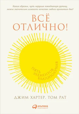 Джим Хартер Всё отлично! Пять элементов благополучия обложка книги