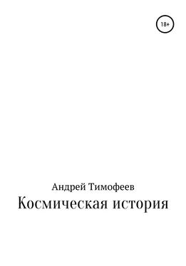 Андрей Тимофеев Космическая история обложка книги