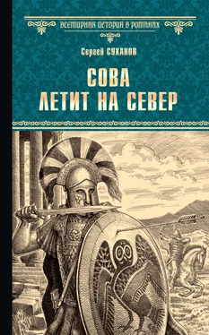 Сергей Суханов Сова летит на север обложка книги