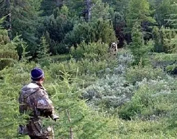 Несколько выведенный из равновесия неприличным поведением животного я застыл - фото 28