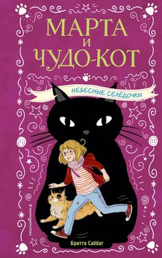 Бритта Саббаг Небесные селёдочки обложка книги