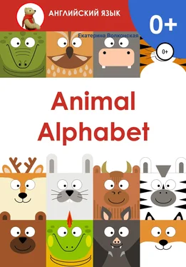 Екатерина Волконская Animal Alphabet обложка книги