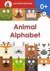Екатерина Волконская - Animal Alphabet