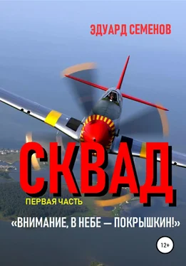 Эдуард Семенов Сквад. Часть 1. «Внимание, в небе Покрышкин!» обложка книги