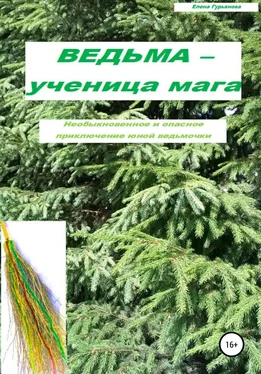 Елена Гурьянова Ведьма – ученица мага обложка книги