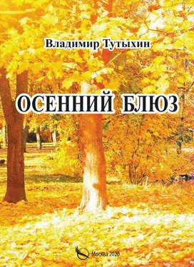 Владимир Тутыхин Осенний блюз обложка книги