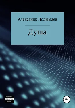 Александр Подымаев Душа обложка книги