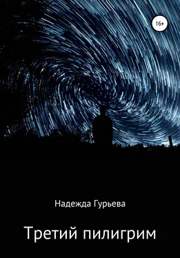 Надежда Гурьева Третий пилигрим обложка книги