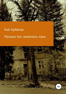 Кай Арбеков Музыка тел, живопись хаки обложка книги