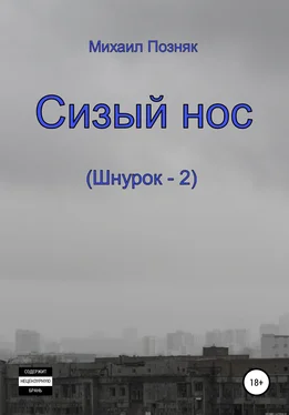 Михаил Позняк Сизый нос обложка книги