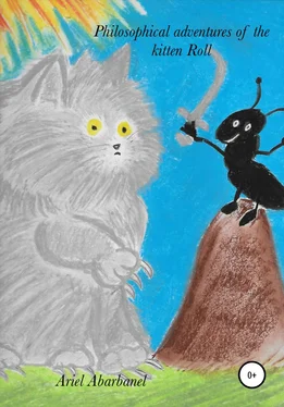 Ариель Абарбанель Philosophical adventures of kitten Roll обложка книги