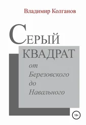 Владимир Колганов - Серый квадрат - от Березовского до Навального