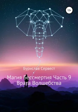 Бурислав Сервест Магия Бессмертия. Часть 9. Врата Волшебства обложка книги