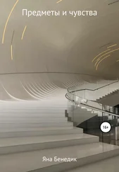 Яна Бенедик - Предметы и чувства