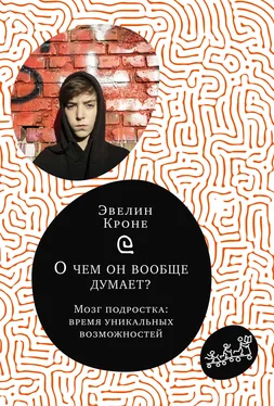 Эвелин Кроне О чём он вообще думает? Мозг подростка: время уникальных возможностей обложка книги