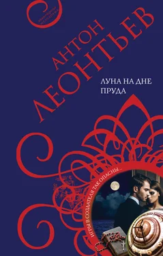 Антон Леонтьев Луна на дне пруда обложка книги