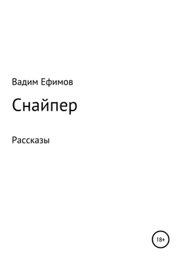 Вадим Ефимов Снайпер. Рассказы обложка книги