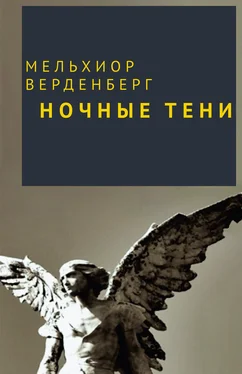 Мельхиор Верденберг Ночные тени обложка книги