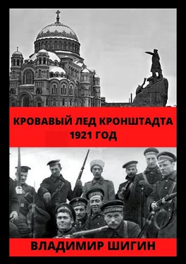 Владимир Шигин Кровавый лед Кронштадта. 1921 год обложка книги