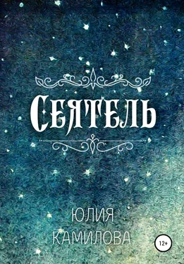 Юлия Камилова Сеятель обложка книги