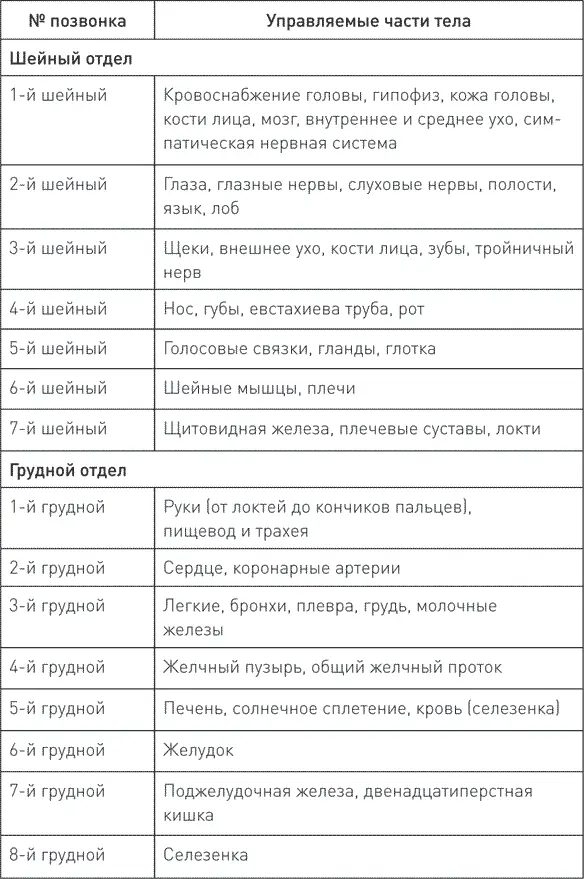 Причины заболеваний могут быть связаны с мышечным тонусом прилегающих мышц - фото 3