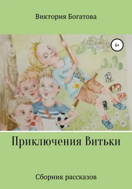 Виктория Богатова Приключения Витьки. Сборник рассказов обложка книги