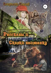 Владимир Козлов - Рассказы и сказки наизнанку