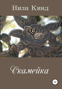 Нила Кинд Скамейка обложка книги