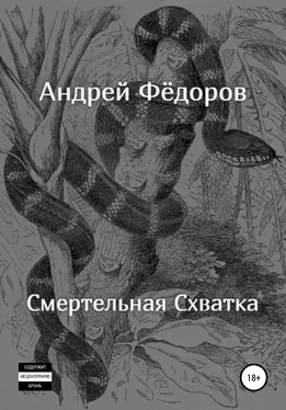 Андрей Фёдоров Смертельная схватка обложка книги