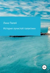 Лина Палей - История лучистой галактики