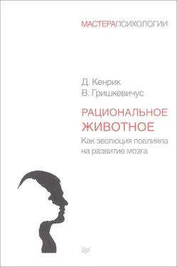 Дуглас Кенрик Рациональное животное. Как эволюция повлияла на развитие мозга обложка книги