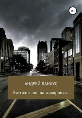 Ланиус Андрей - Охотился лис на жаворонка…