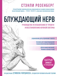 Стэнли Розенберг - Блуждающий нерв. Руководство по избавлению от тревоги и восстановлению нервной системы