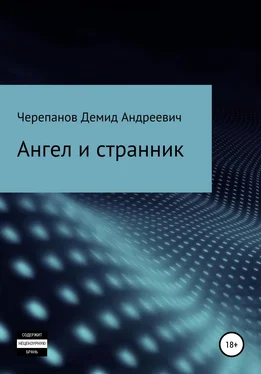 Демид Черепанов Ангел и странник обложка книги