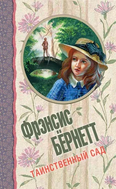 Фрэнсис Бёрнетт Таинственный сад (сборник) обложка книги