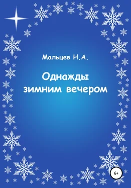 Николай Мальцев Однажды зимним вечером обложка книги