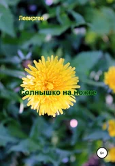 Левирген - Солнышко на ножке