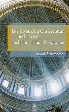 Joseph Schumacher Die Mystik im Christentum und in den nichtchristlichen Religionen обложка книги