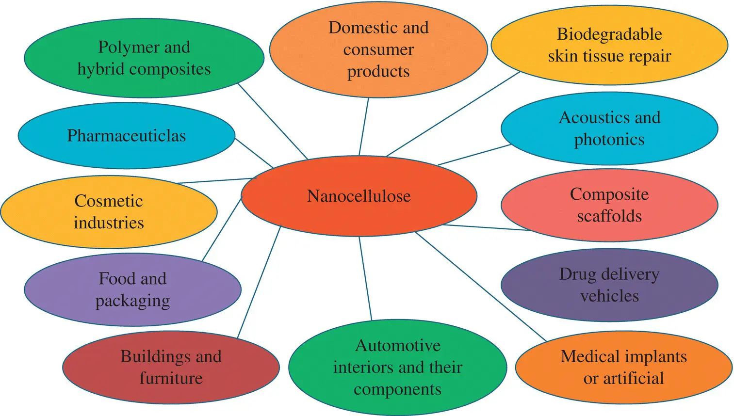 Figure 11 Nanocellulose applications Figure 12 Illustration for the - фото 2