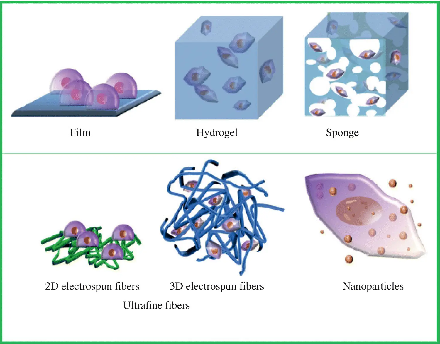 Figure 14 Commonly used forms of scaffolds in tissue engineering 14 - фото 5