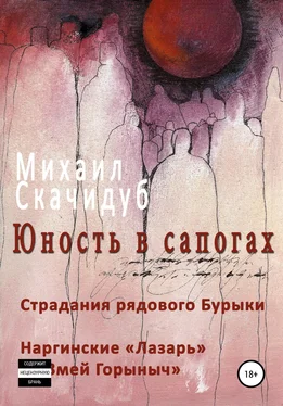 Михаил Скачидуб Юность в сапогах. Рассказы обложка книги