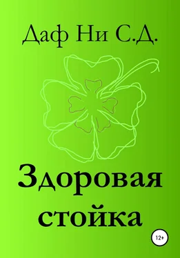 Даф Ни С.Д. Здоровая стойка обложка книги