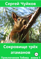 Сергей Чуйков - Сокровище трёх атаманов