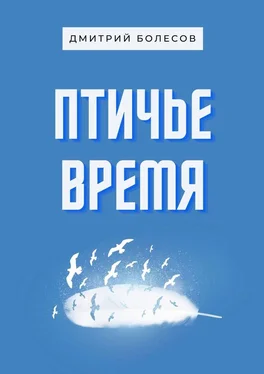 Дмитрий Болесов Птичье время обложка книги