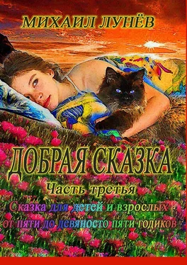 Михаил Лунев Добрая сказка. Часть третья обложка книги