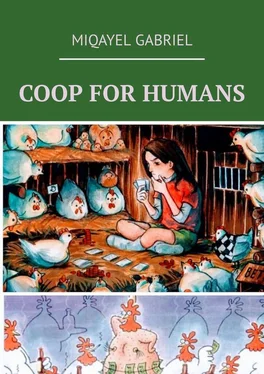 MIQAYEL GABRIEL COOP FOR HUMANS обложка книги