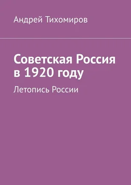 Андрей Тихомиров Советская Россия в 1920 году. Летопись России обложка книги